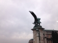 皇宫墙上的鹰